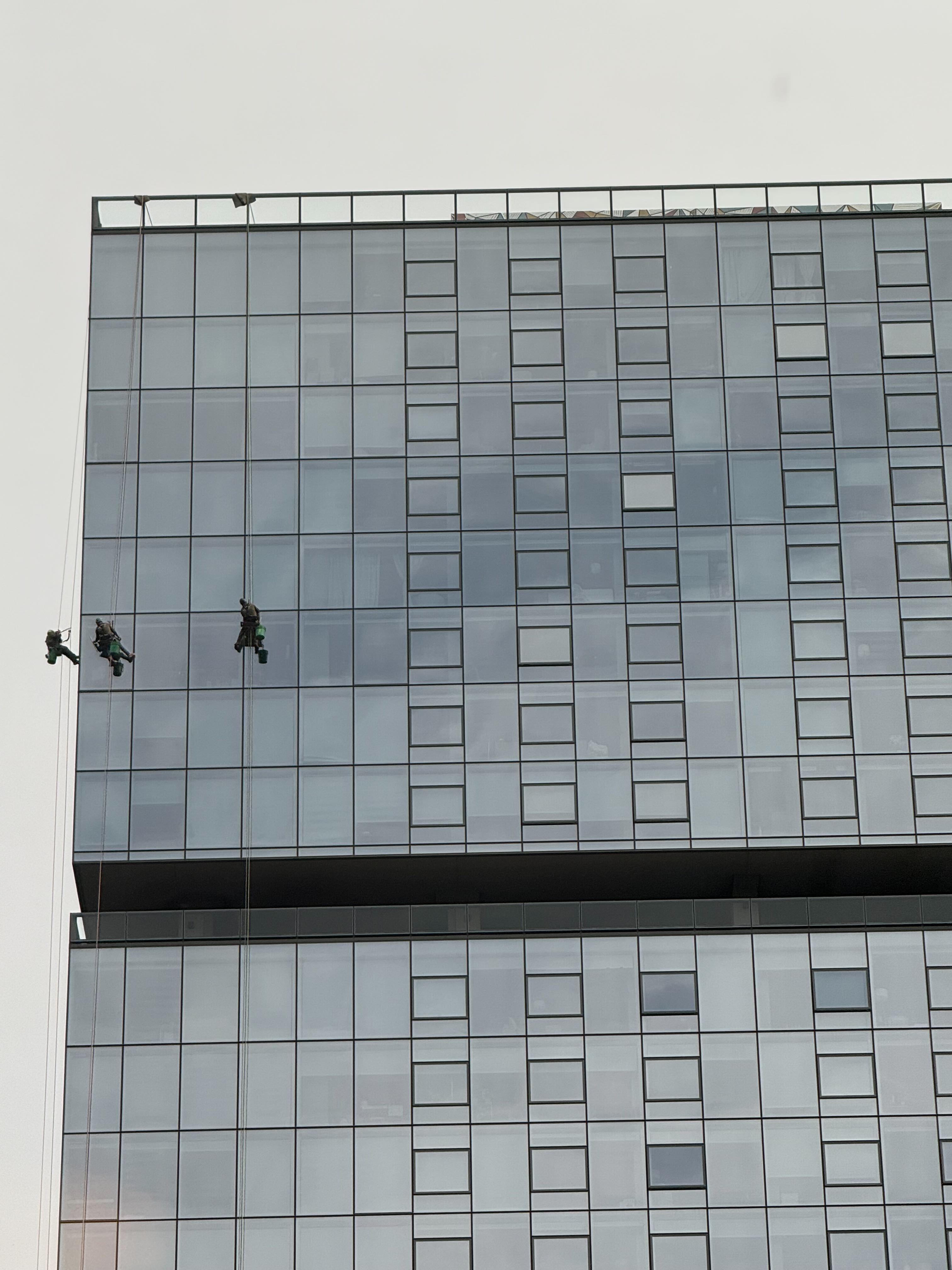 WindowCleaning